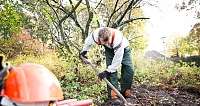 Dienstleistung Gartenbau